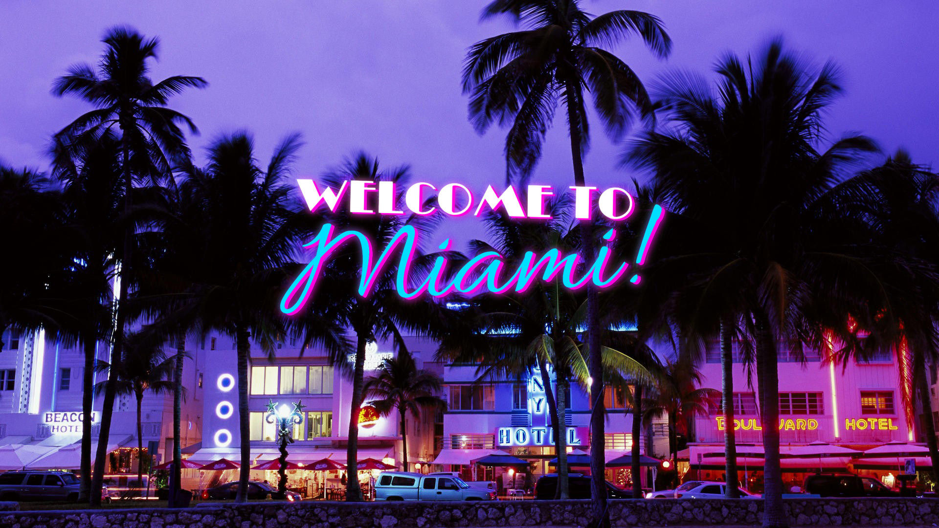 The Miami Locals
